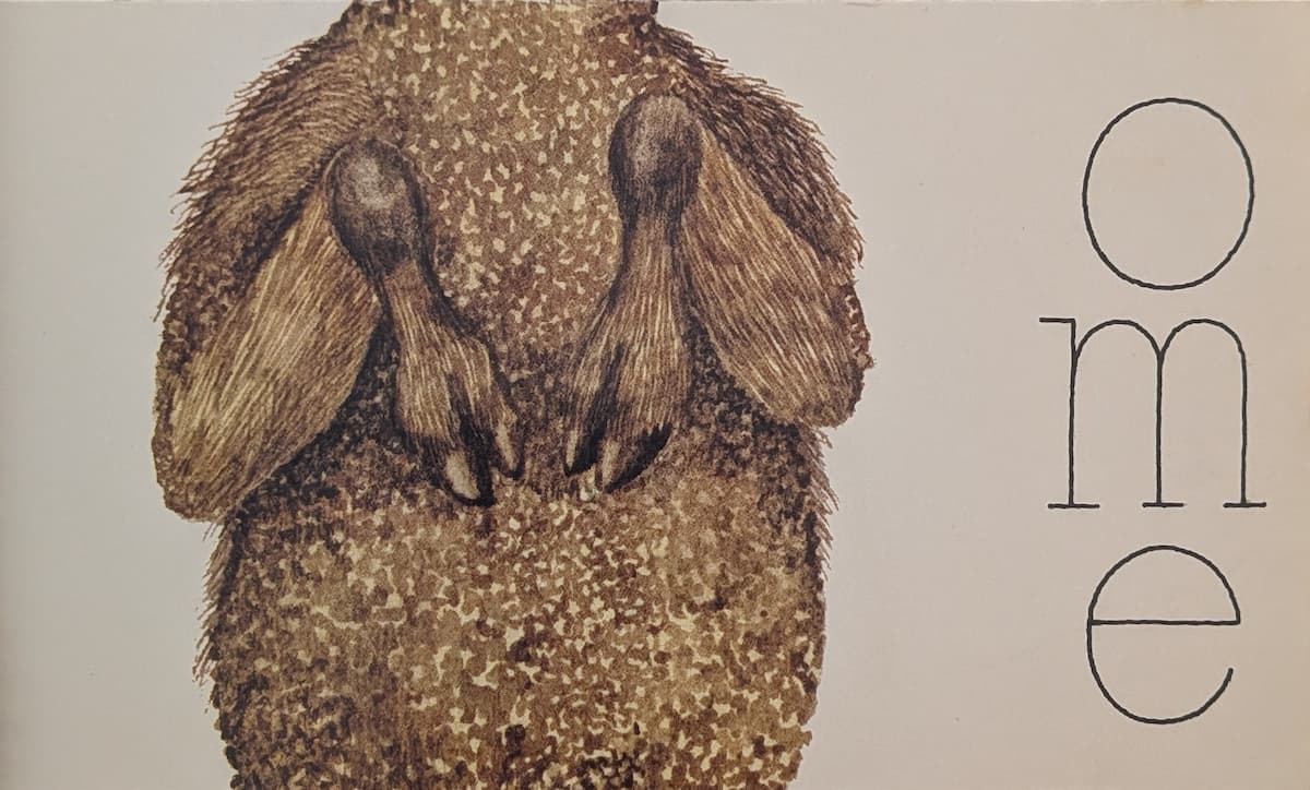 The dromedary is holding its forelegs up together, reminicent of how rabbits do, when they stand.