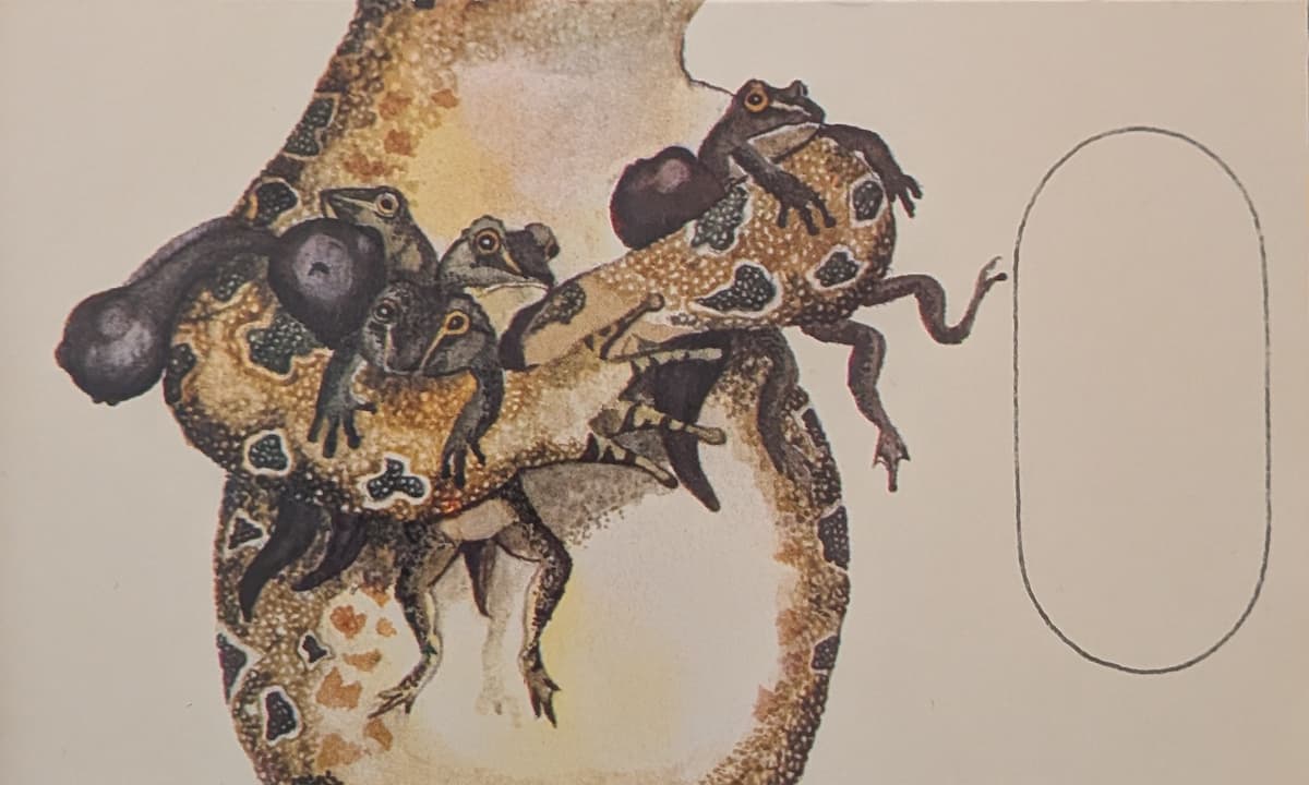 The body of a frog, whose forearms are holding a clutch of presumably its own offspring, seen in varying levels of development from tadpoles to little froglets.