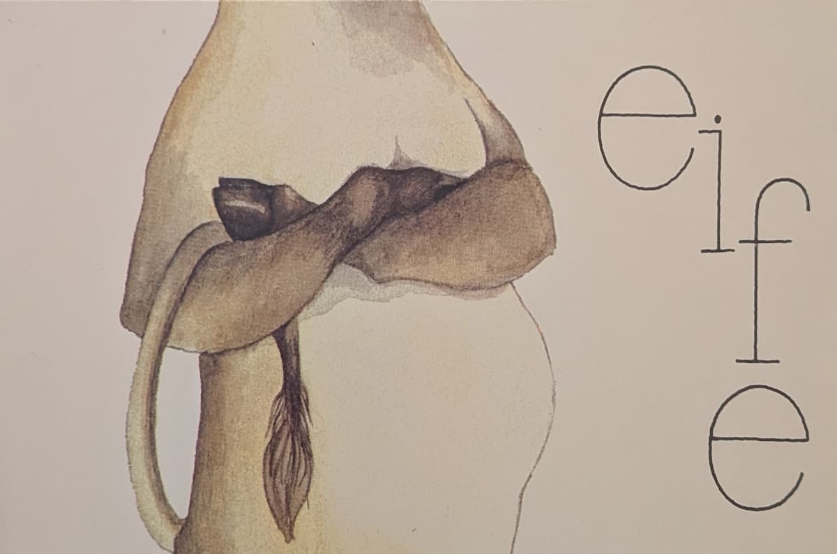 A cow body with its forelegs crossed in a human-like way. Her tail is casually draped over one arm.