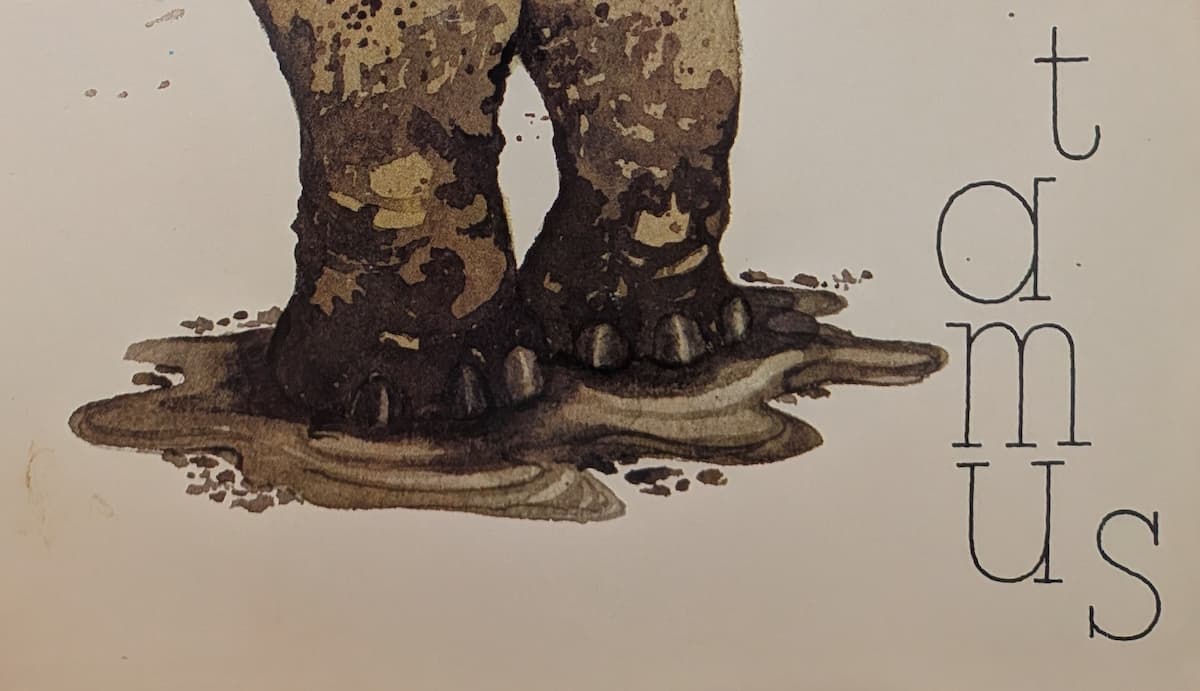 The legs of a hippopotamus. They are standing in a big muddy puddle.