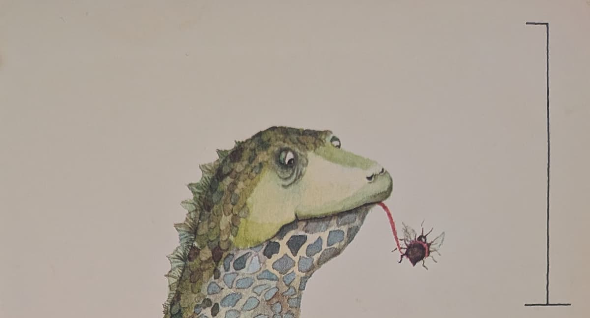 The head of a lizard. Its tongue is out, and has encircled a big black fly.