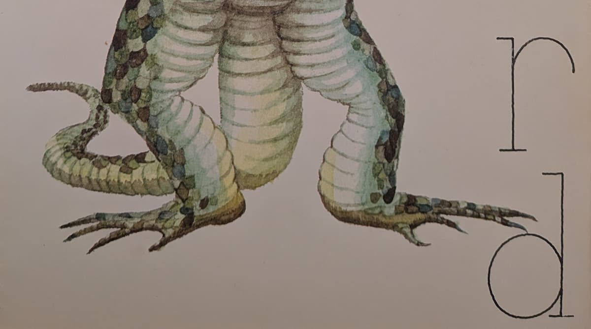 Lizard legs with pointy toes and a long tail snaking out behind.