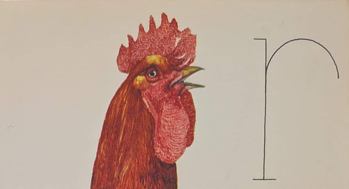 The head of a rooster, or cockerel, with a red comb and wattle.