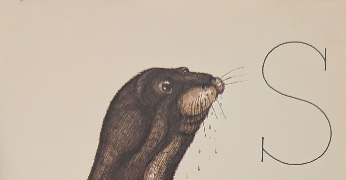 The hear of a dark seal with whiskered nose pointed somewhat upwards. Water is dripping from its face.