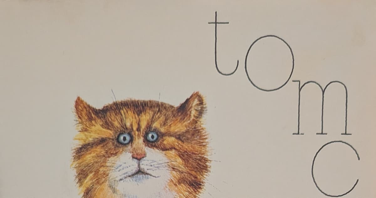 The head of a ginger tomcat, with piercing eyes staring straight at us.